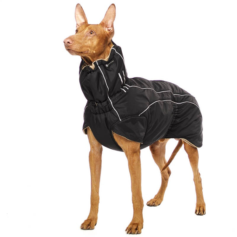 Zoran SPORT Schwarz S3