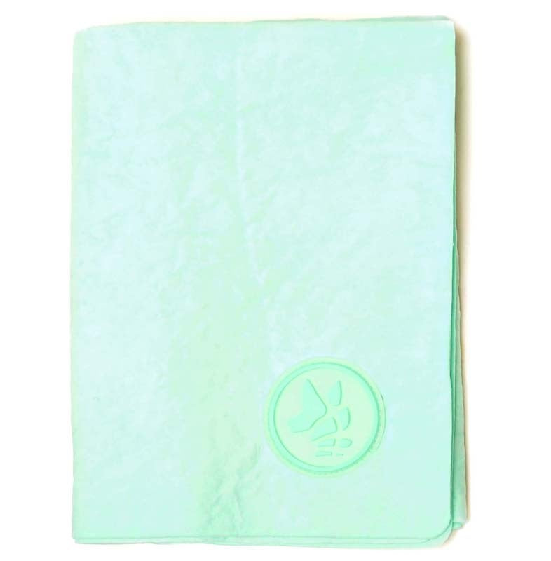 COOLing Towel Grün
