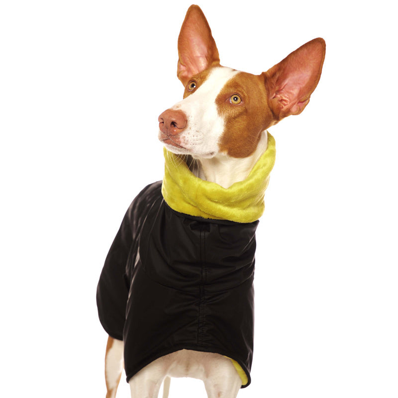 Michael COOLRAIN Vol. 3 (Black) Gelb-Olive M1