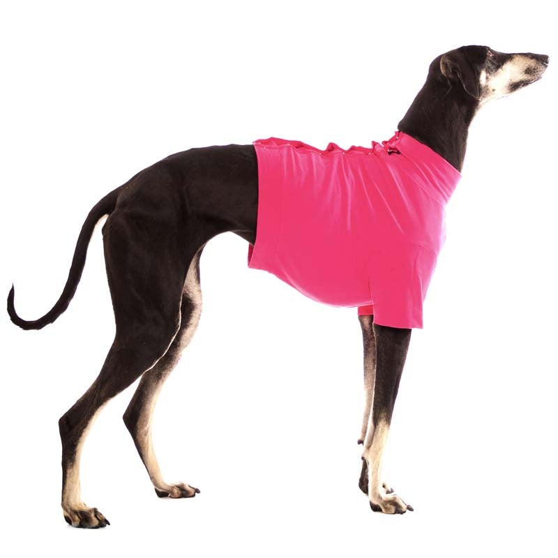 Oliver Fuchsia S2
