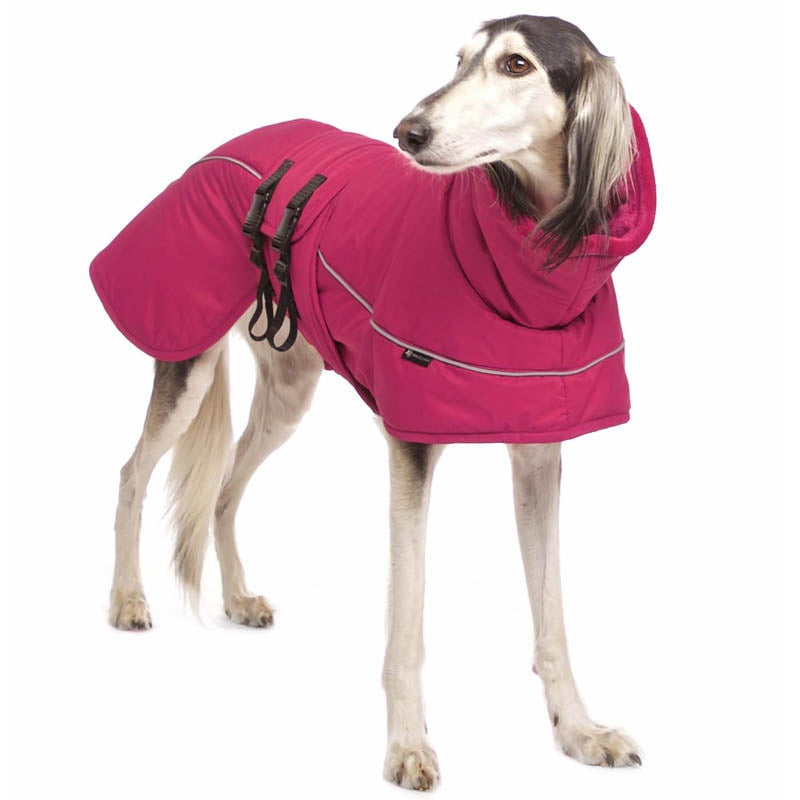 Aspen Plus Fuchsia M1
