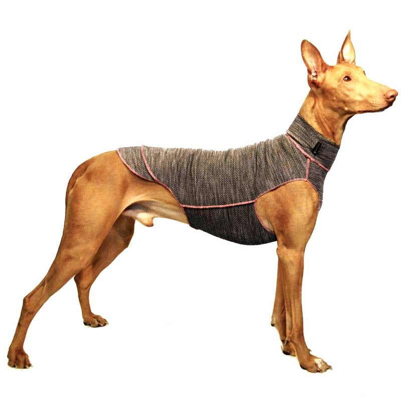 Quinto Grau/Rosa XS2 female