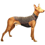 Quinto Grau/Rosa XS2 female