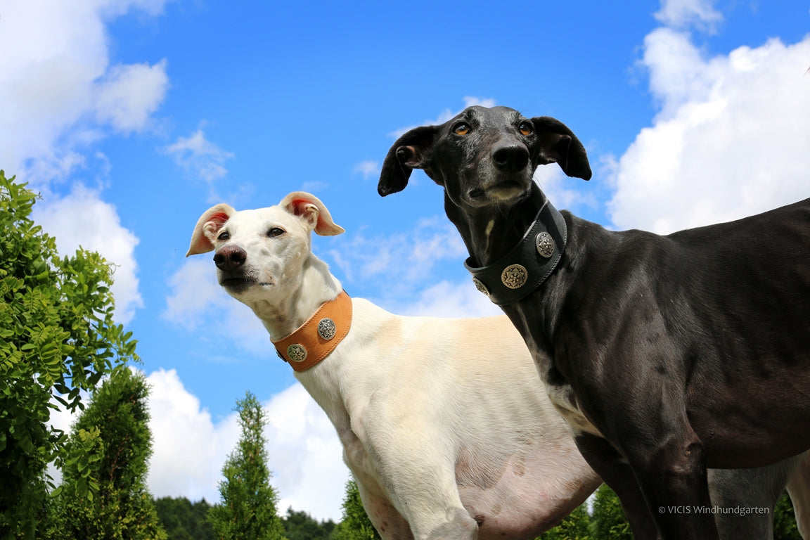 Aloké Greyhound Pin Anthrazit S