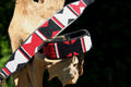TKC Maasai Shield Lurcher 12"