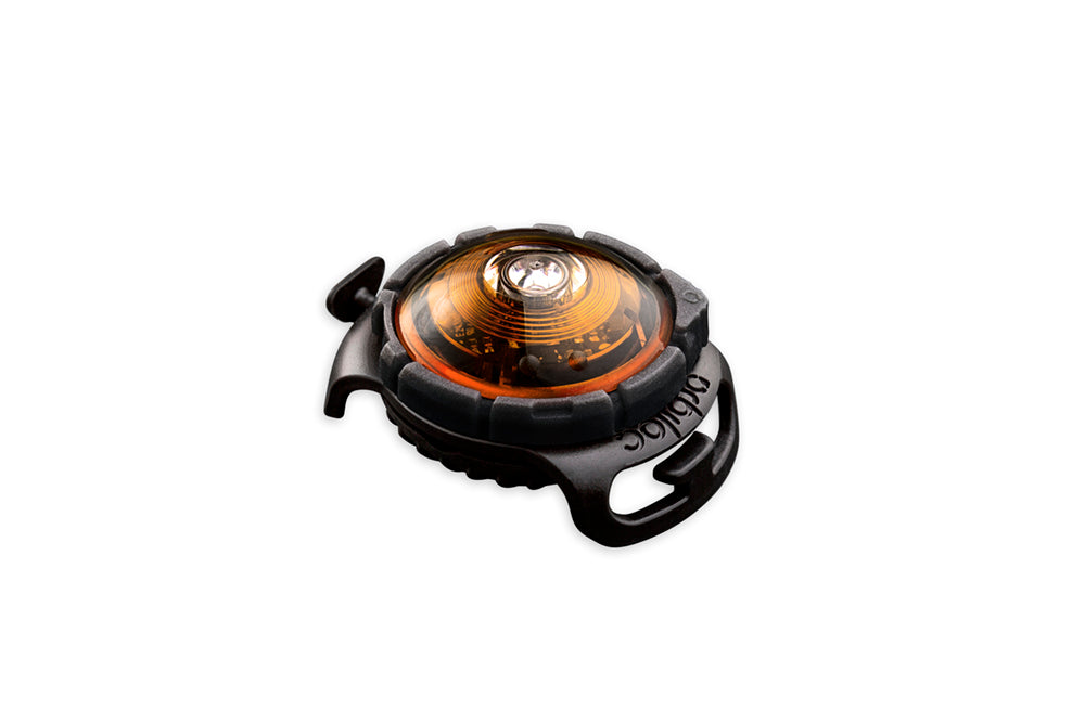 Orbiloc Dog Dual Amber