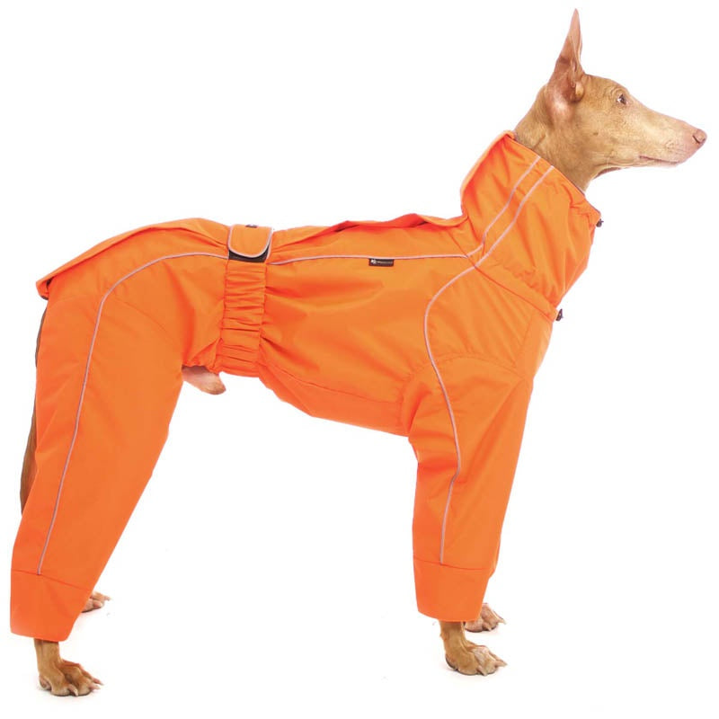 Alice & Jasper Orange M1