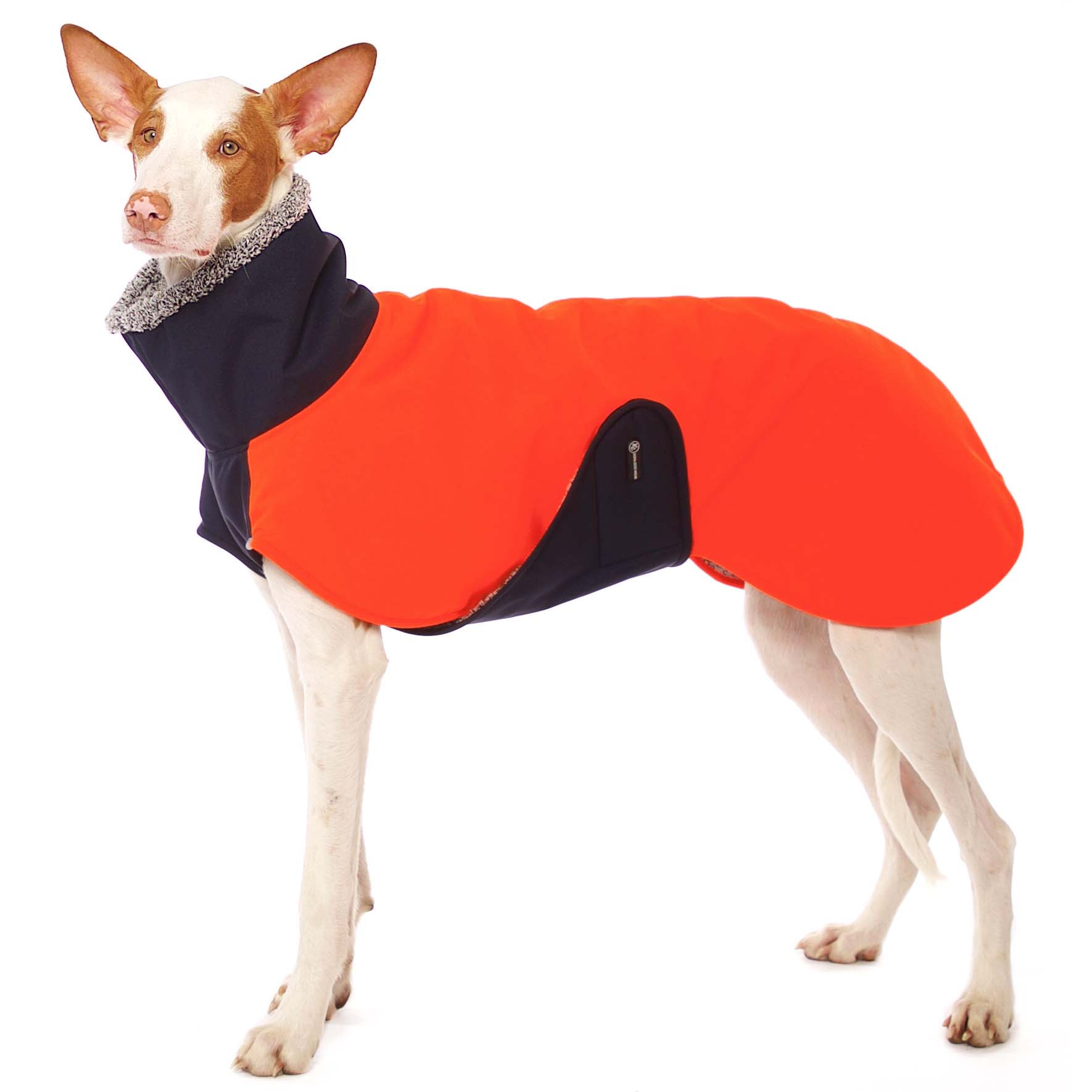 Hugo NEON Neon Orange/ Blau S2