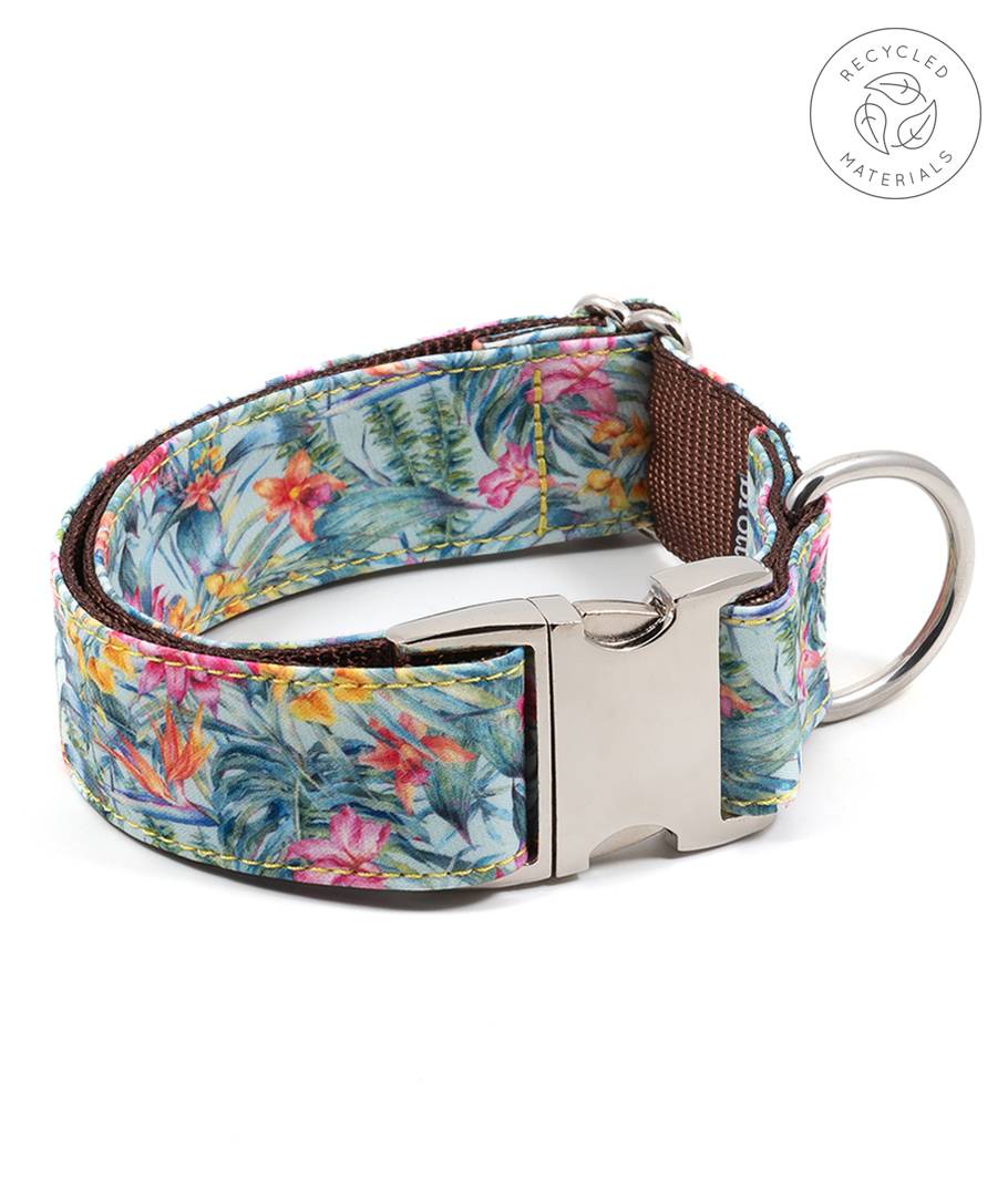 Halsband PERELADA XS