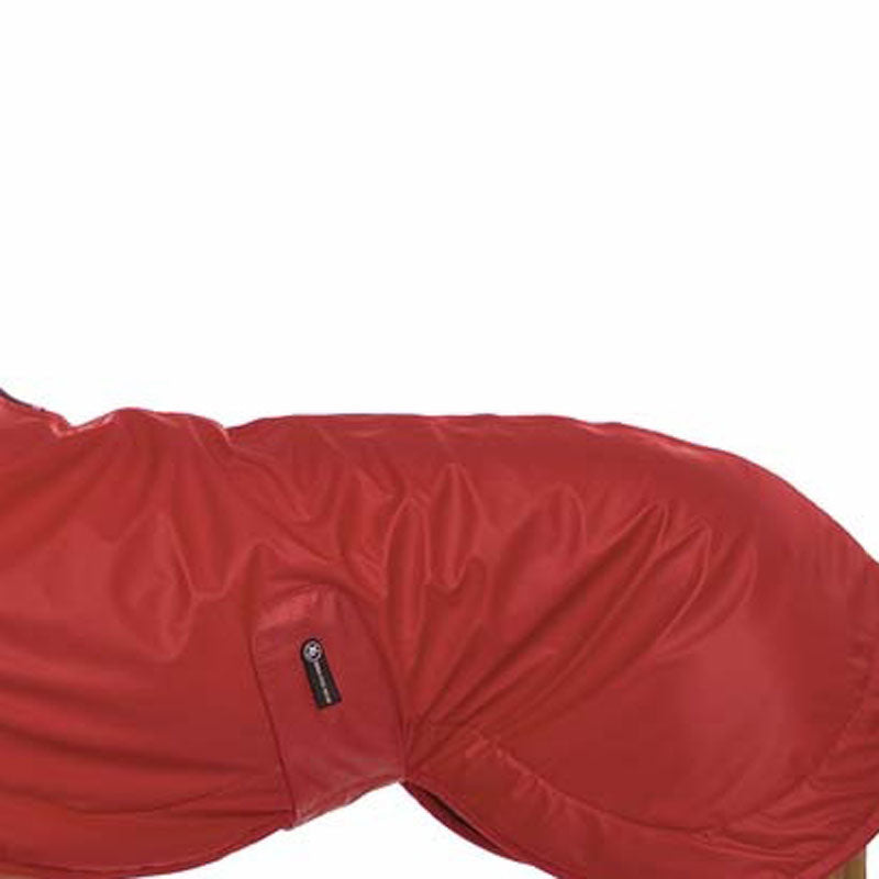 Michael COOLRAIN Vol. 2 Rot XS1