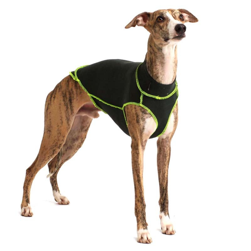 Quinto Khaki/Gelb XS1 female