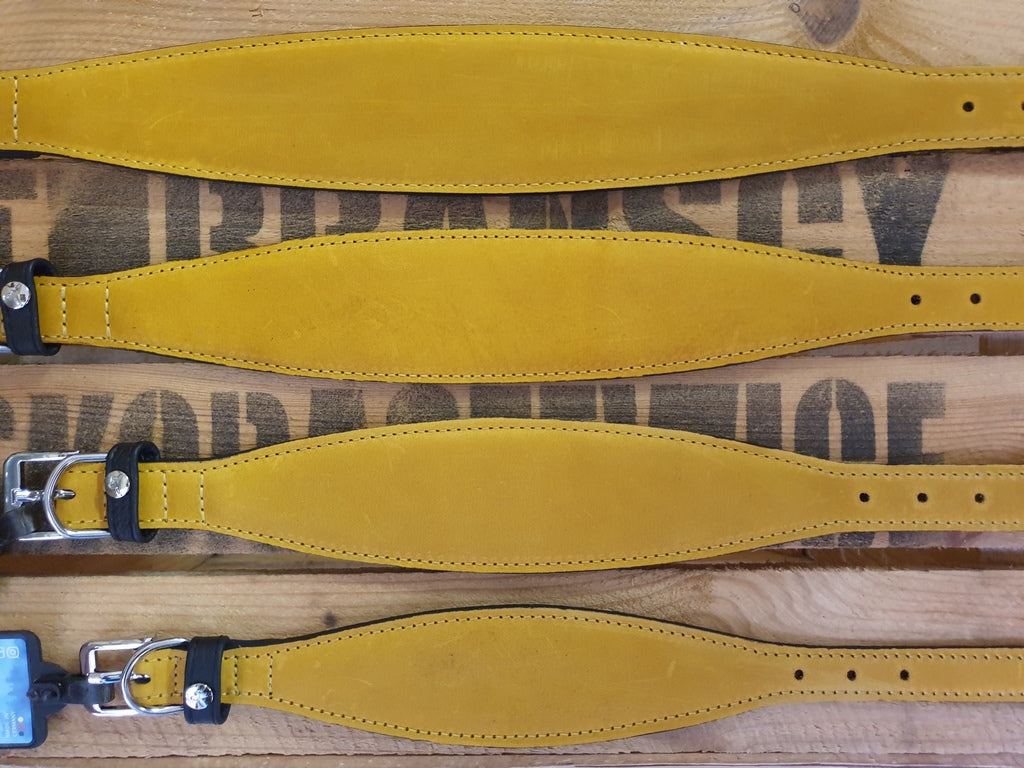 Windhundhalsband Vancouver OEKO-TEX® Gelb 35