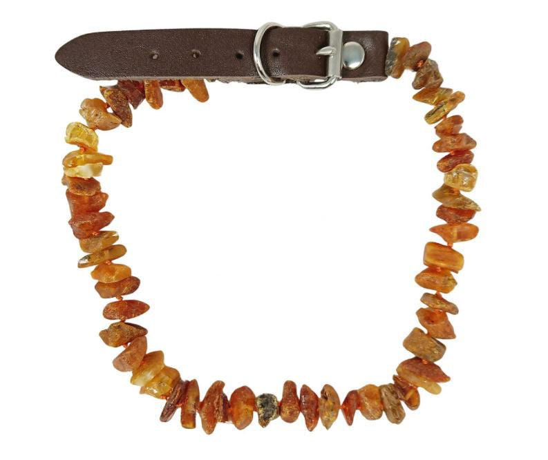 Halsband Bernstein Natur + Leder 15 - 20 cm