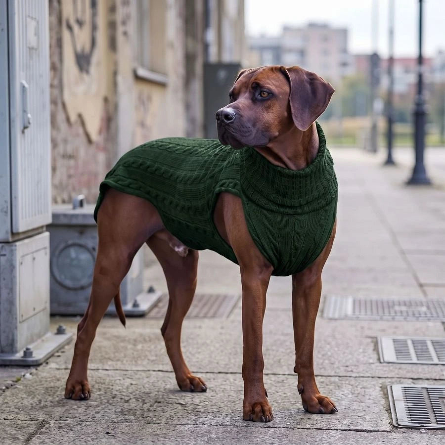 Hundepullover Smarty