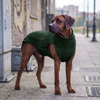 Hundepullover Smarty