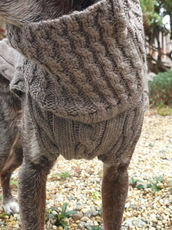 kay-line Hundepullover Smarty