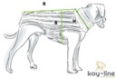 kay-line Hundepullover Smarty