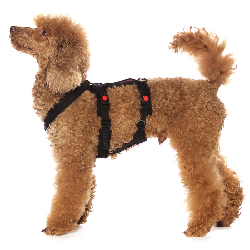 Sportgeschirr Y Double small