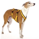 Sportgeschirr Y Double small