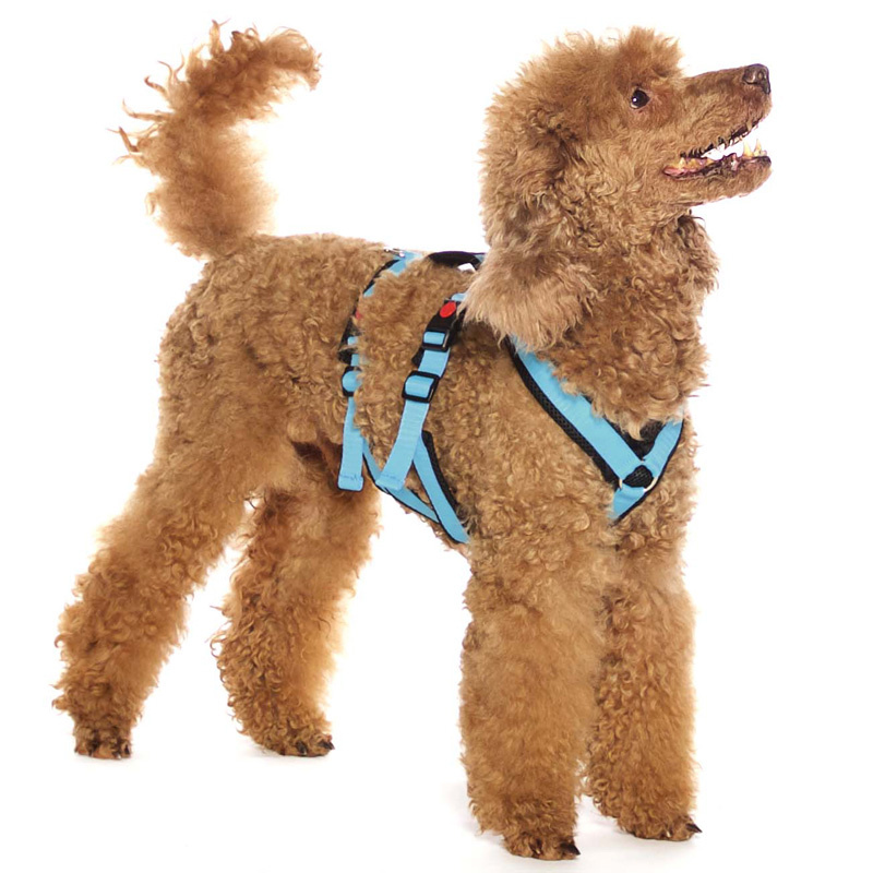 Sportgeschirr Y Double small