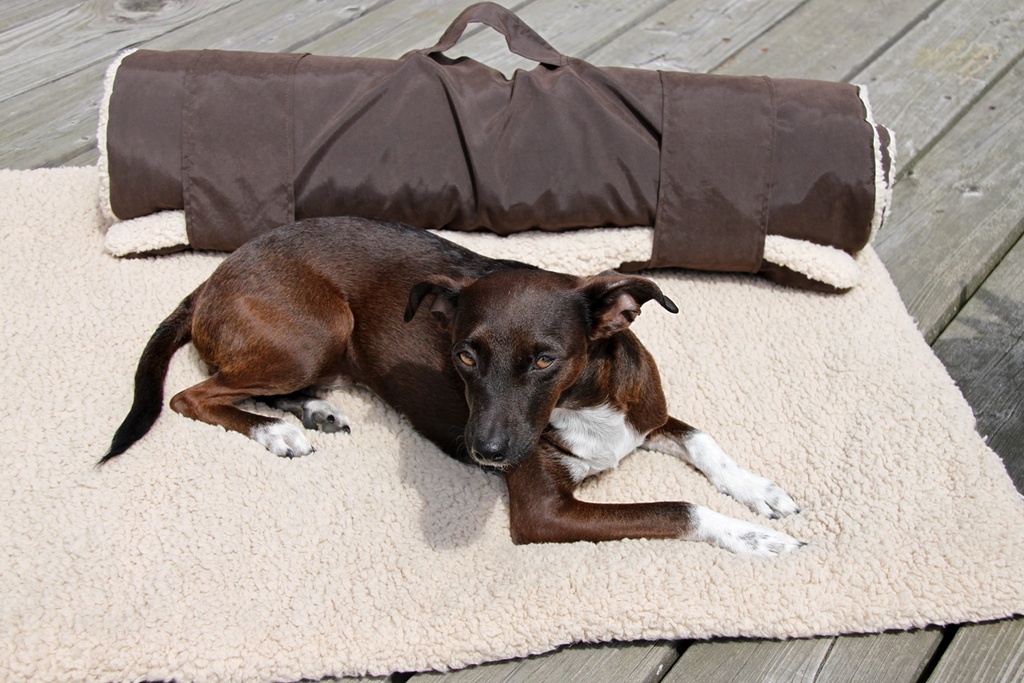 Reisedecke Travel Sheep Blanket 100 x 70 cm