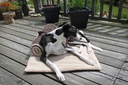 Reisedecke Travel Sheep Blanket 100 x 70 cm