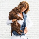 4LazyLegs Tragetasche 15 kg