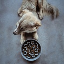 District 70 Slow Feeder Bamboo