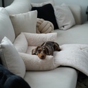 District 70 Hundesofa NUZZLE