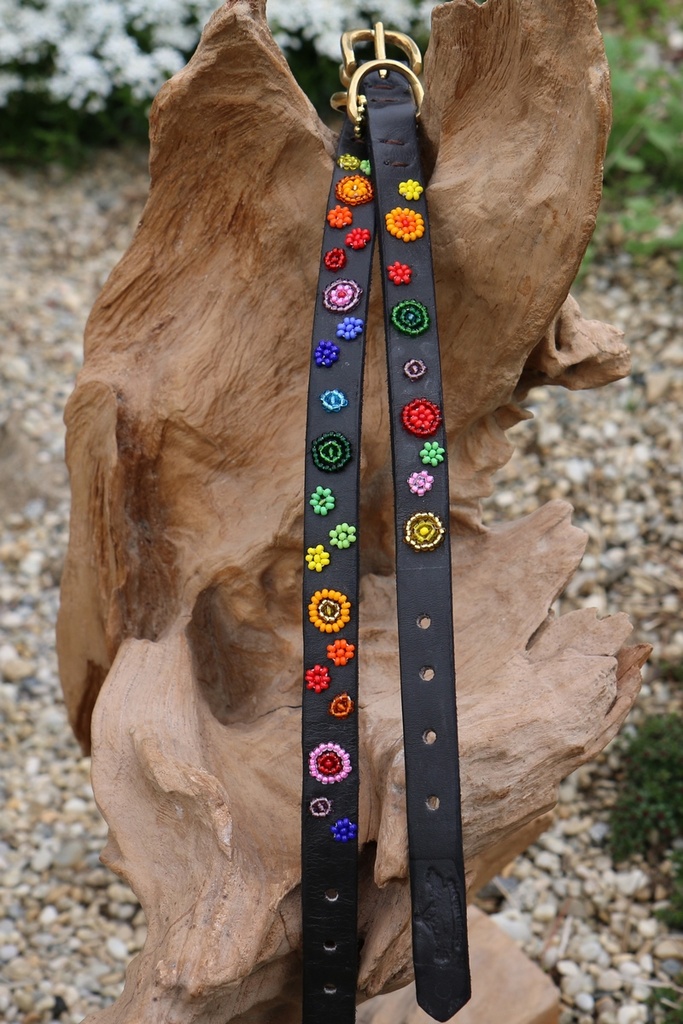 TKC Arani Dots Standard