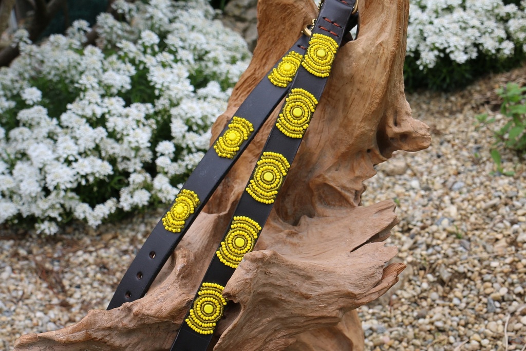 TKC Sunshine Standard