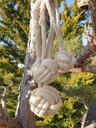 Apportel Natural Dog Toy