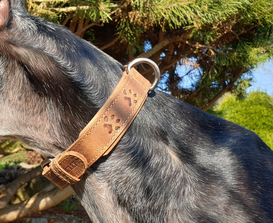 Vintage Dog Halsband