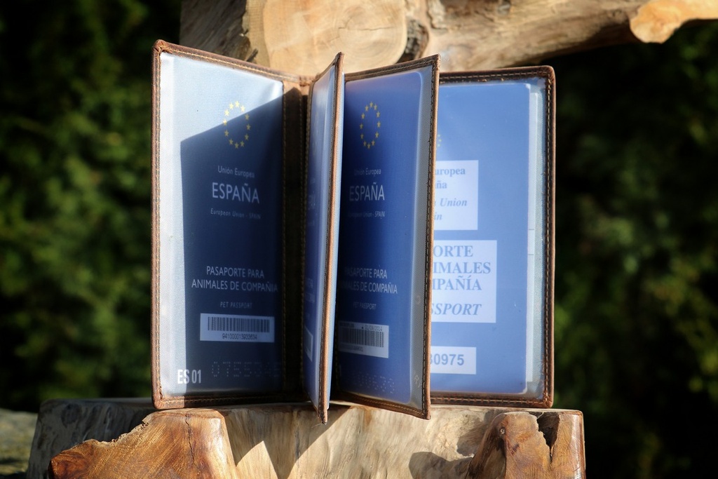 Ausweistasche Multi Leder