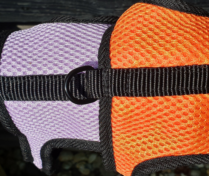 Welpengeschirr ultraleicht