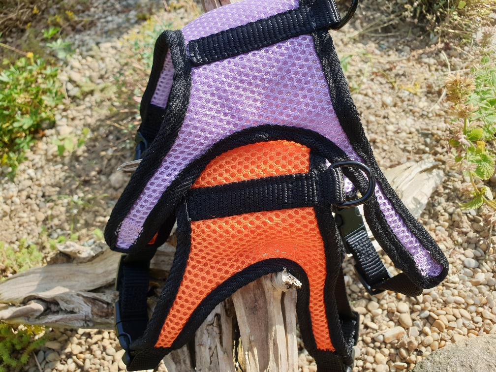 Welpengeschirr ultraleicht