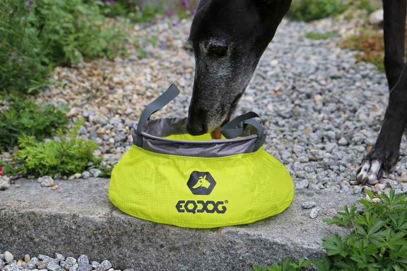 EQDOG Travel Bowl™