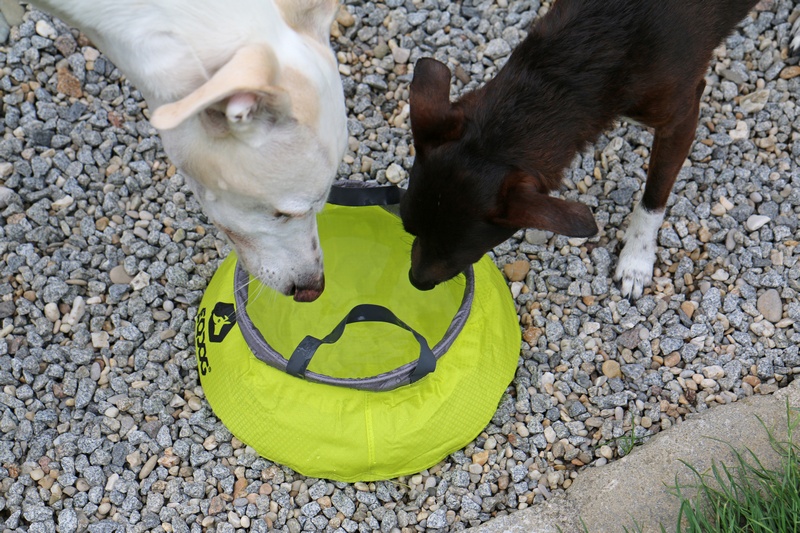 EQDOG Travel Bowl™
