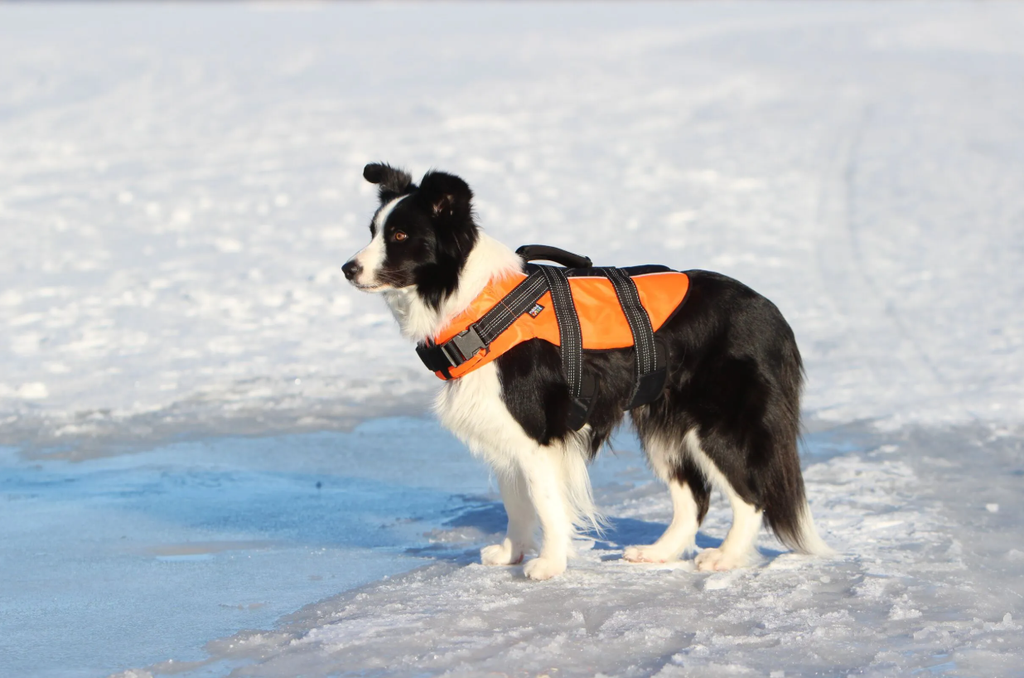 Rukka Safety Life Vest