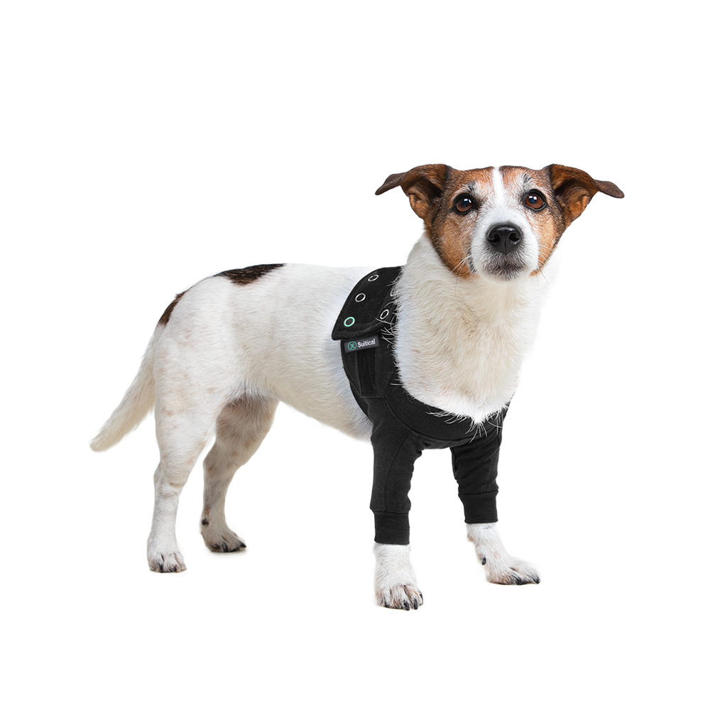 Suitical Recovery Double Sleeve® Hund