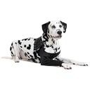 Suitical Recovery Sleeve® Hund