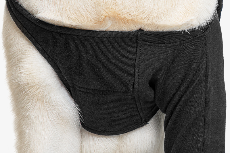 Suitical Recovery Sleeve® Hund