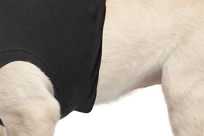 Suitical Recovery Suit® Hund Schwarz