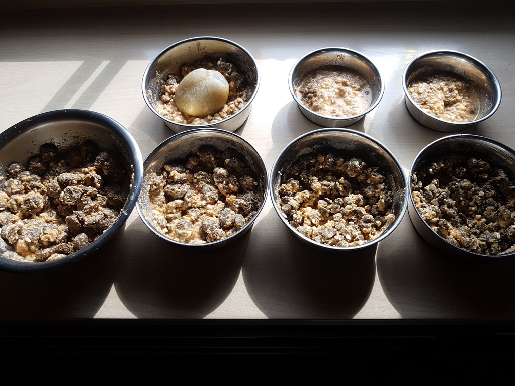 Kürbisflocken getrocknet