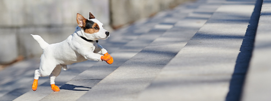 PawZ Dog Boots - Gummischuhe