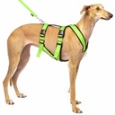 Sportgeschirr Y Double