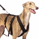 Sportgeschirr Y Double