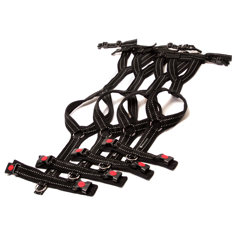 Sportgeschirr Y Reflex