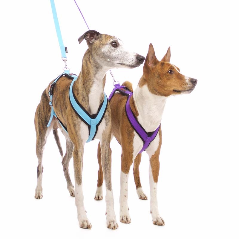 Sportgeschirr Y Small