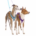 Sportgeschirr Y Small